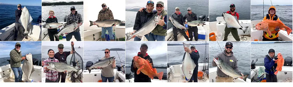 Starfish Charters
