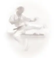 South East Academy of Martial Arts
