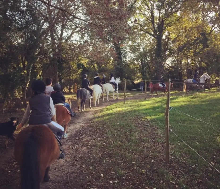 Stud Du Cosquer