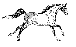 Eperon Laurentais