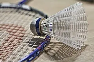 Fitzwimarc Badminton Club