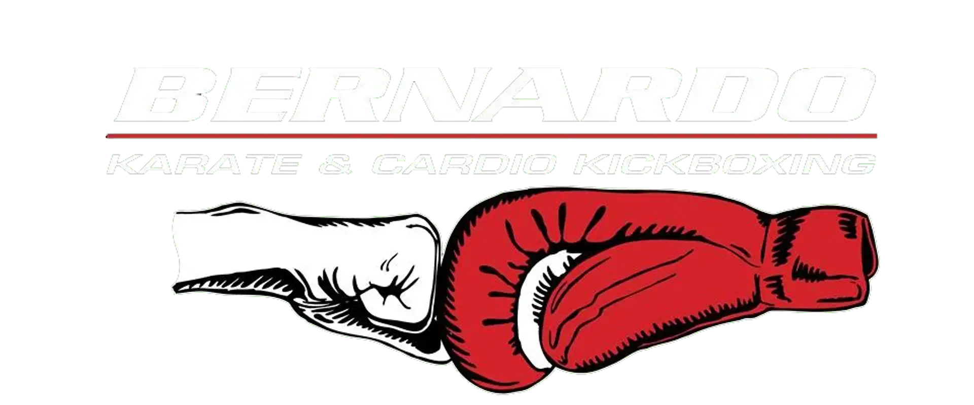 Bernardo Karate And Cardio Kickboxing