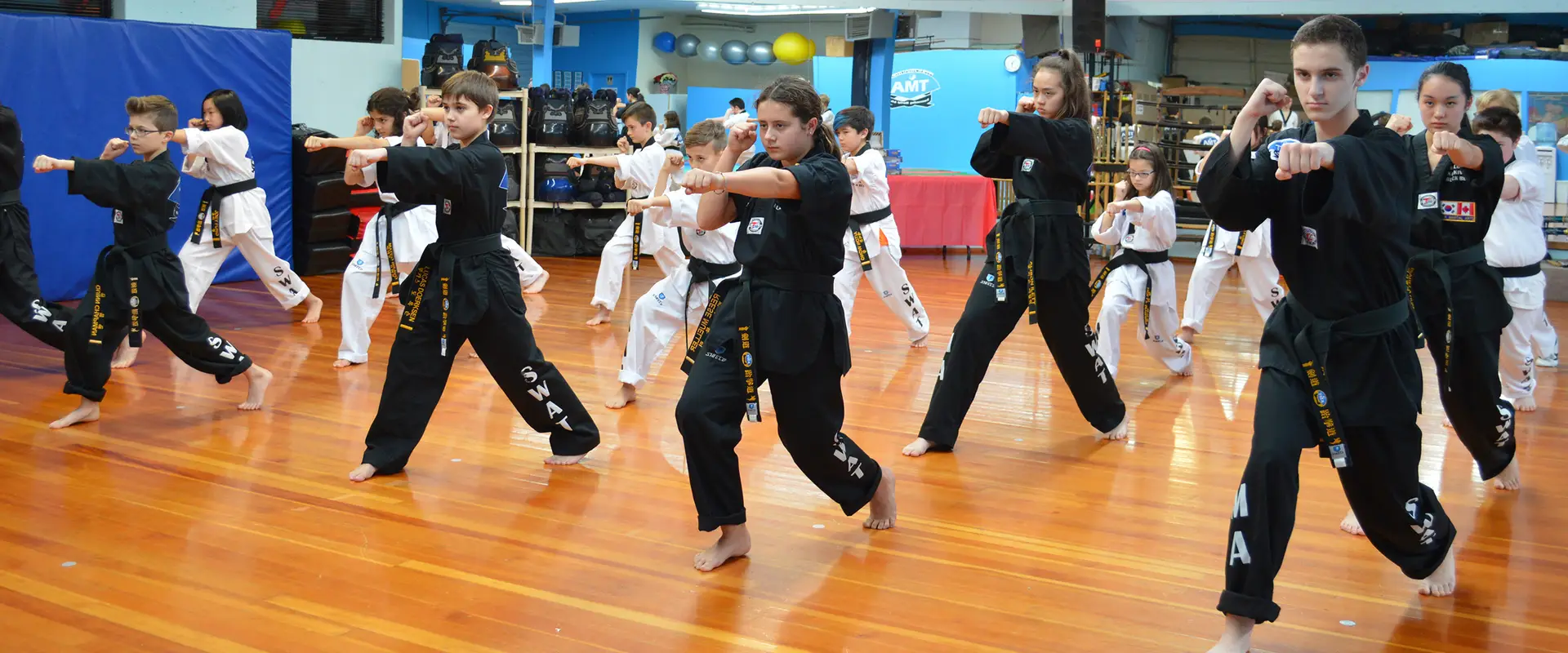 Transcending Martial Arts