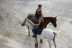 Equestrian Center Des Granges Stud De Sarrabouze