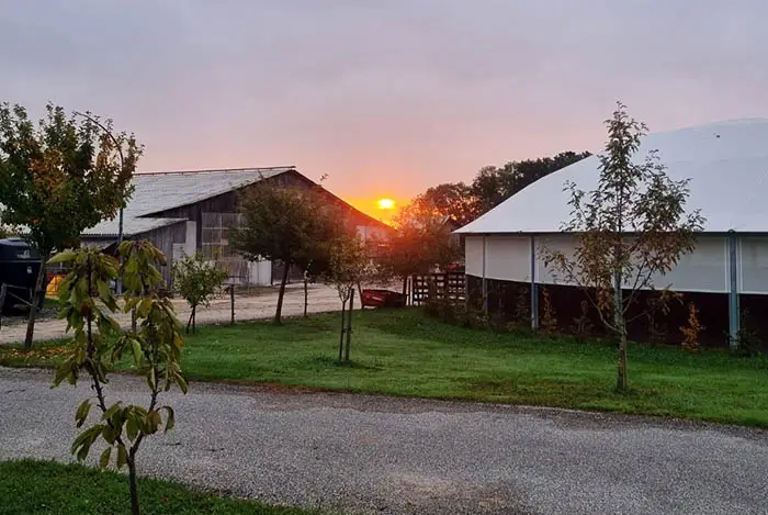 L' Abreuvoir De Grilly