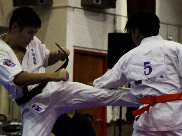 MG karate Academy