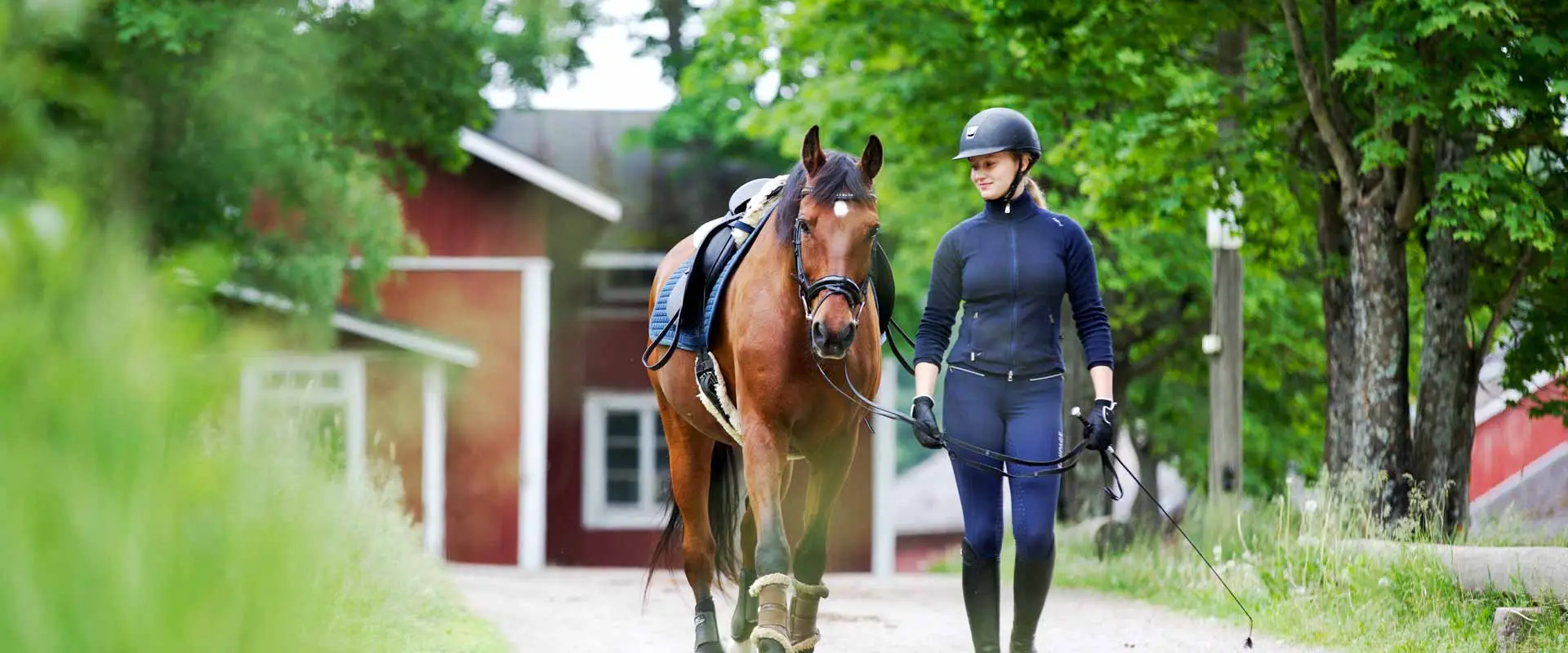 Greybrook West Equestrian