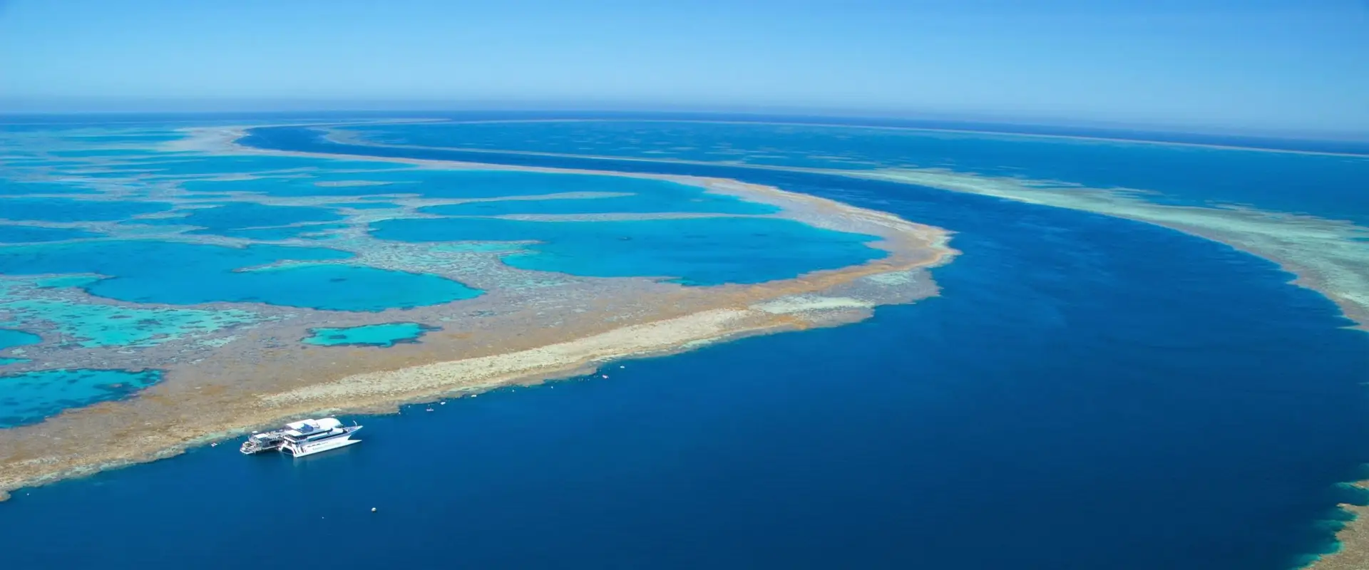 Reef Safari Diving