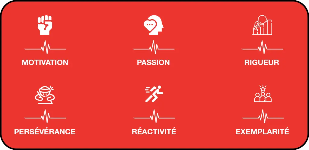Iron Bodyfit Cavaillon Electrostimulation
