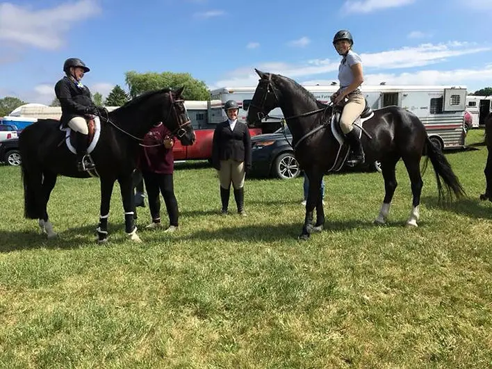 Four Corners Equestrian