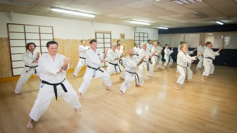 Sochin Dojo