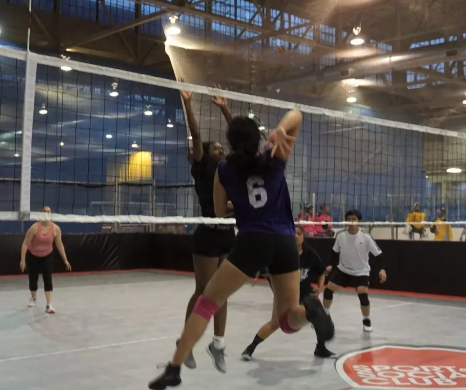Adult Volleyball League