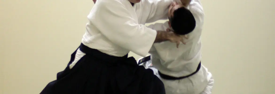 Aikido Shindokan