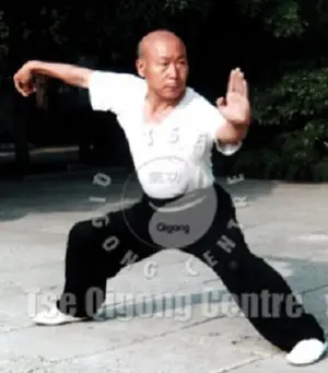 Wild Goose Qigong Centre