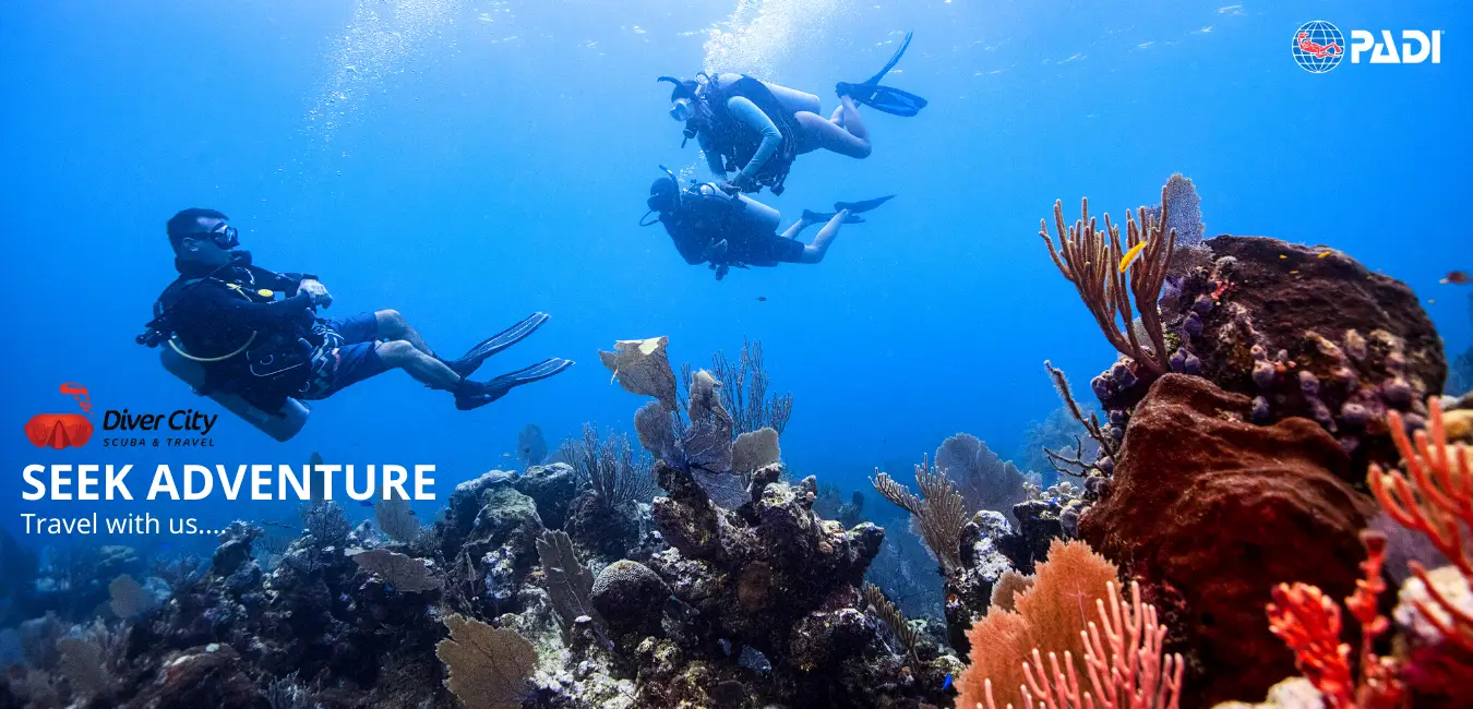 Diver City SCUBA