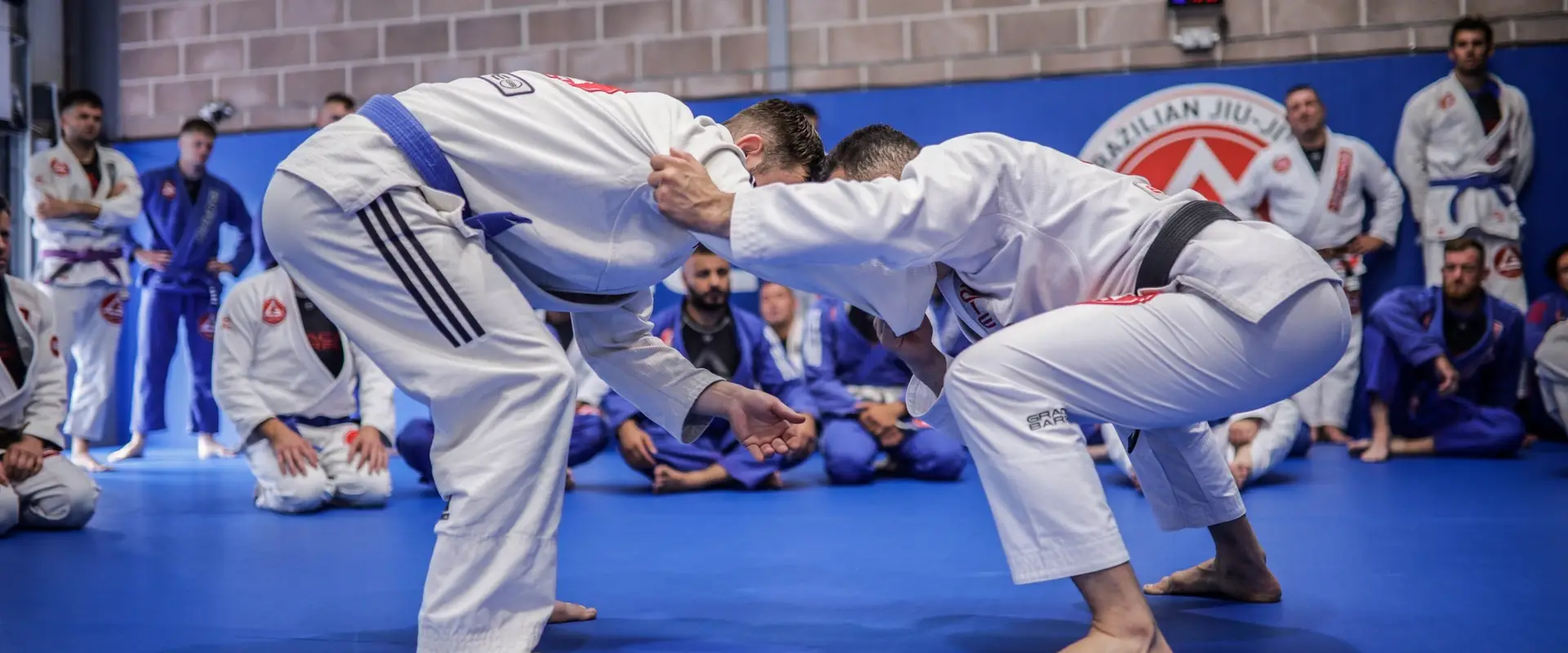 Gracie Barra Bath