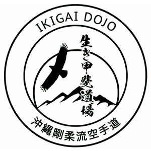 Ikigai Dojo