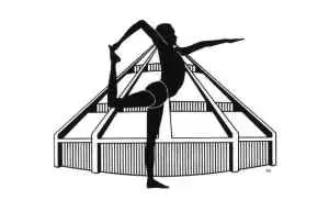 Yoga Iyengar