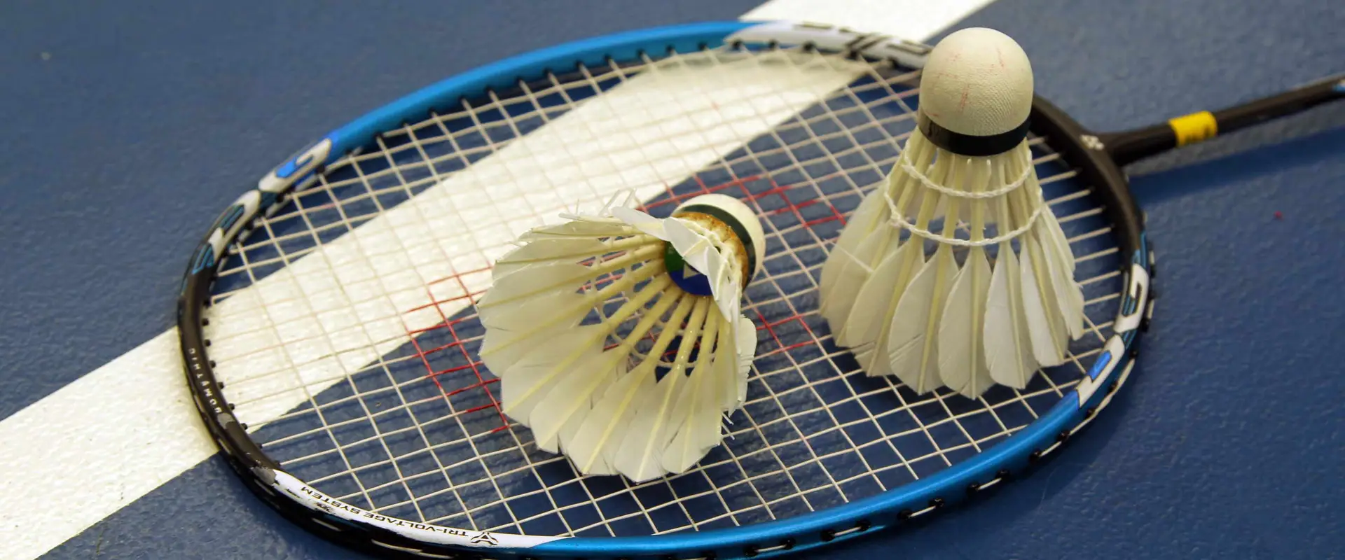 Phoenix Badminton Club