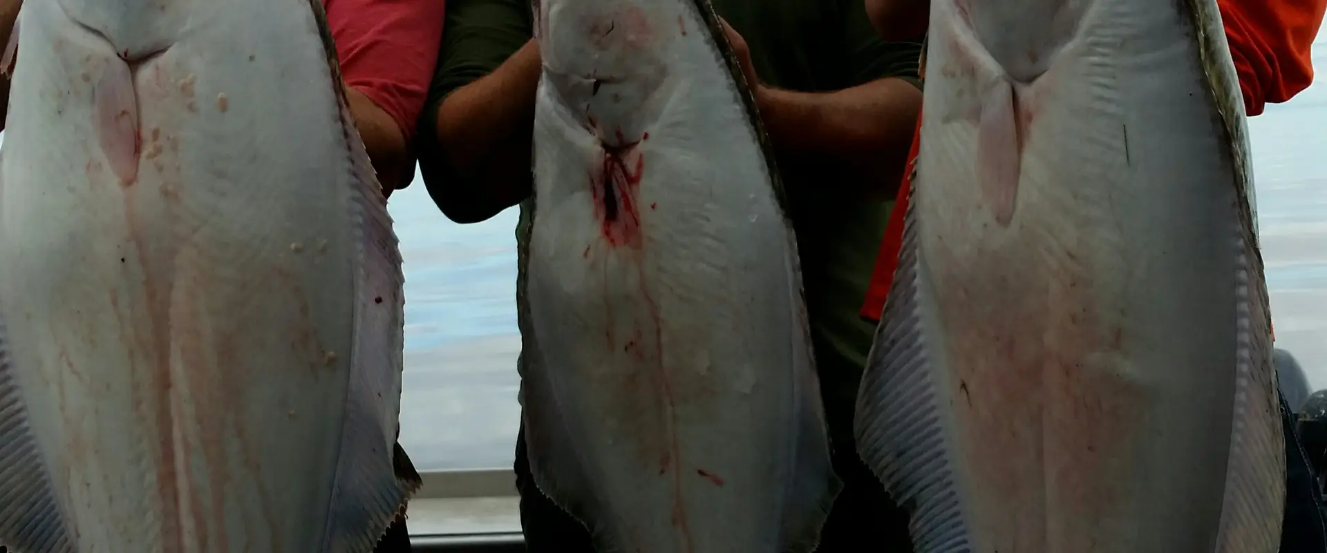 Wildfish Charters: Prince Rupert Fishing Charters