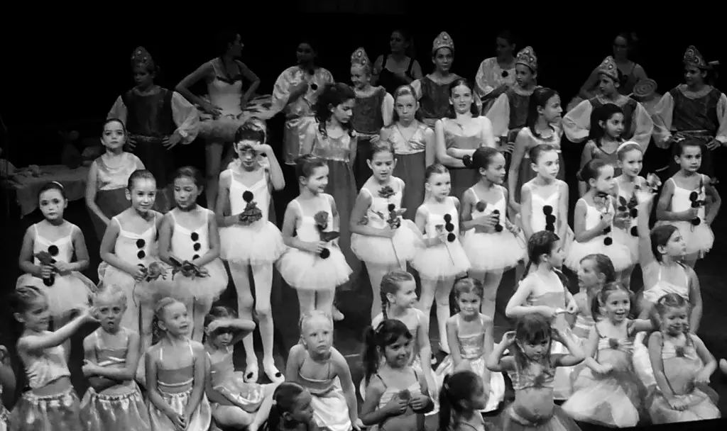 County School Music And Dance Du Thor