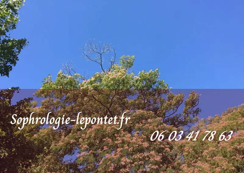 Sophrologie & Luxopuncture Le Pontet
