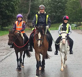 Gallop View Stables