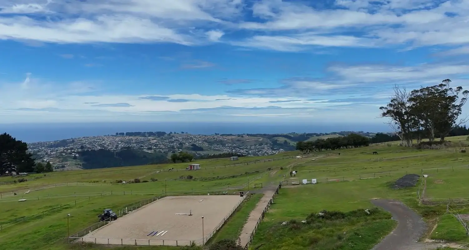 Dunedin Riding Academy