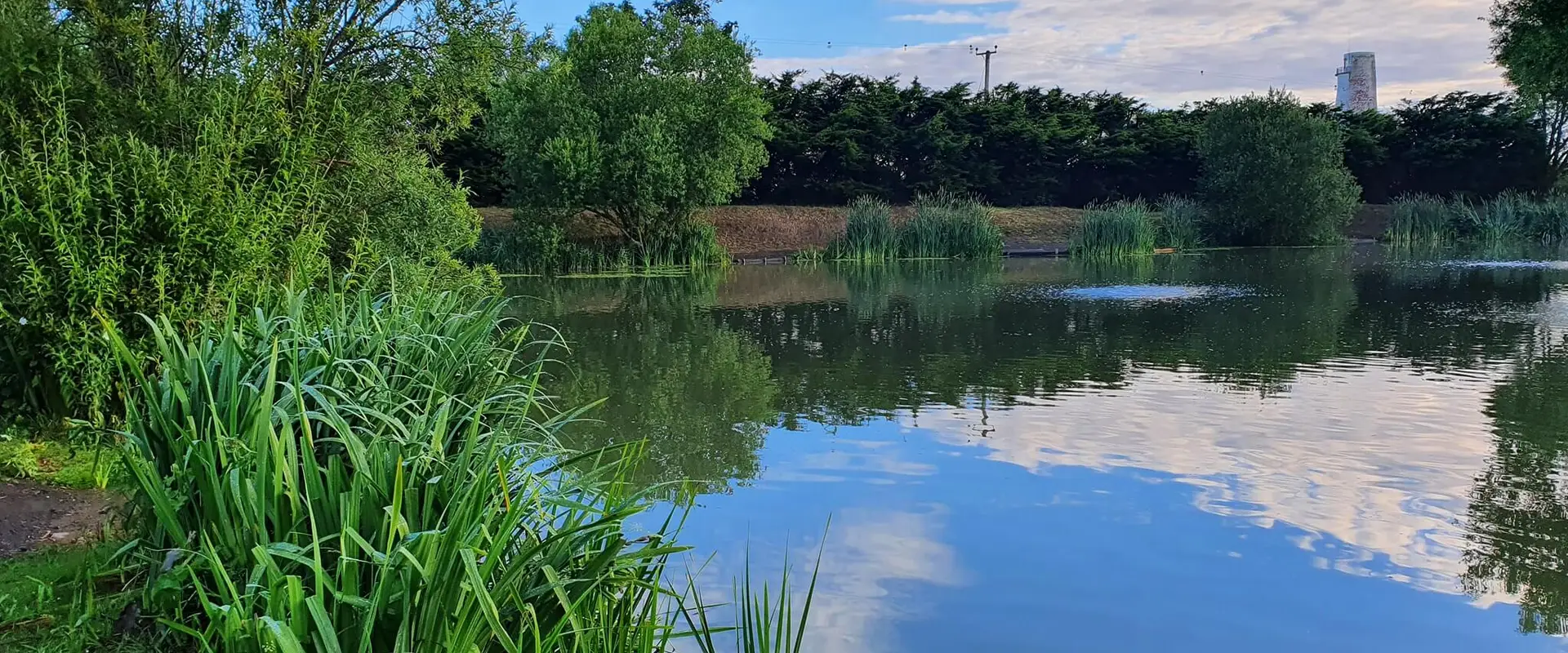 Lingmere Fishery