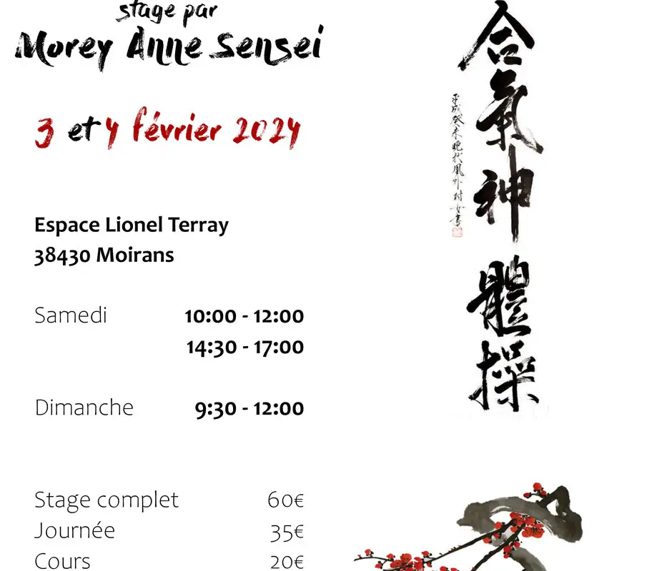 Académie Pontoise d'Aikido