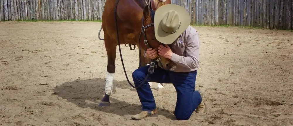 Russ Krachun Kozak Horsemanship