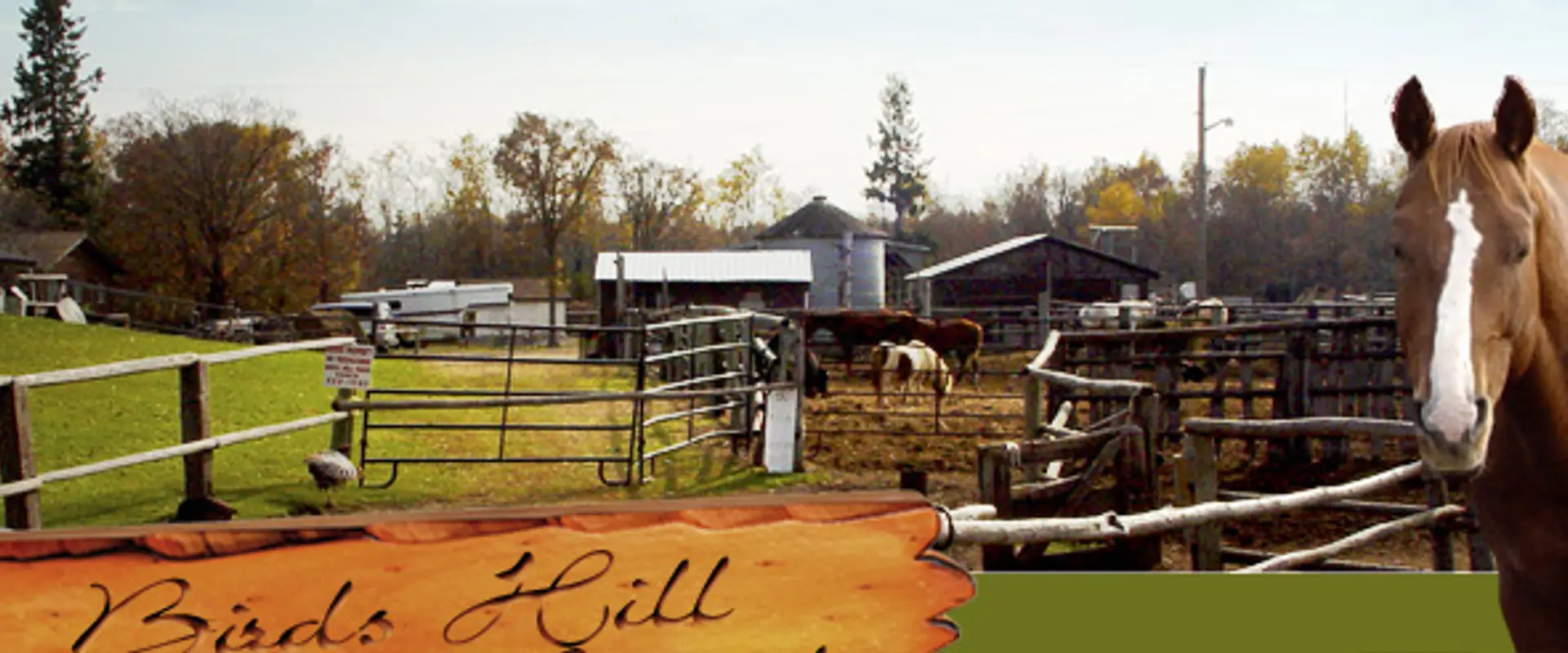 Bird's Hill Park Ranch