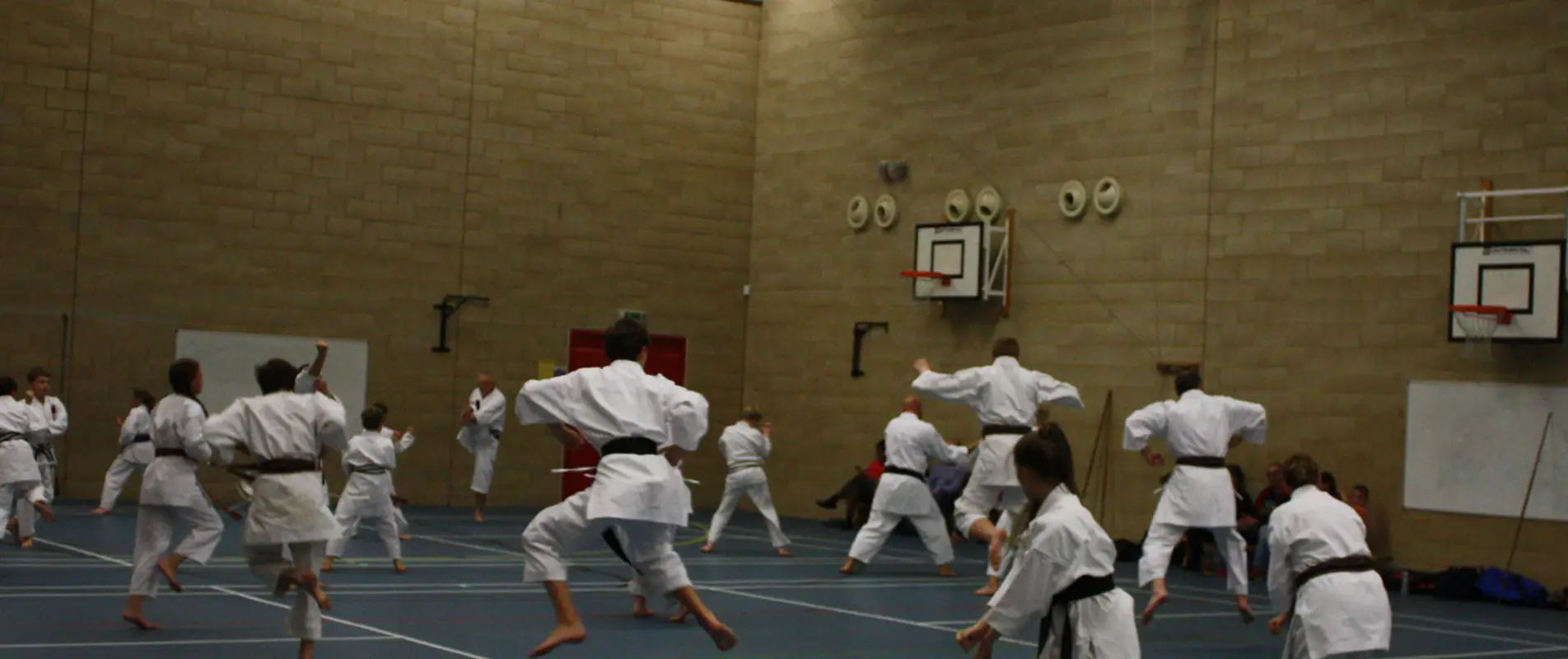 3 Counties Shotokan Karate Club