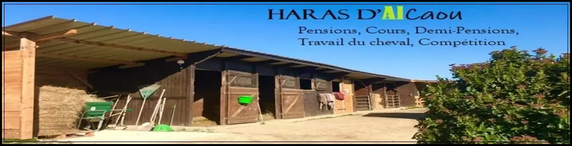 Le Haras D Alcaou