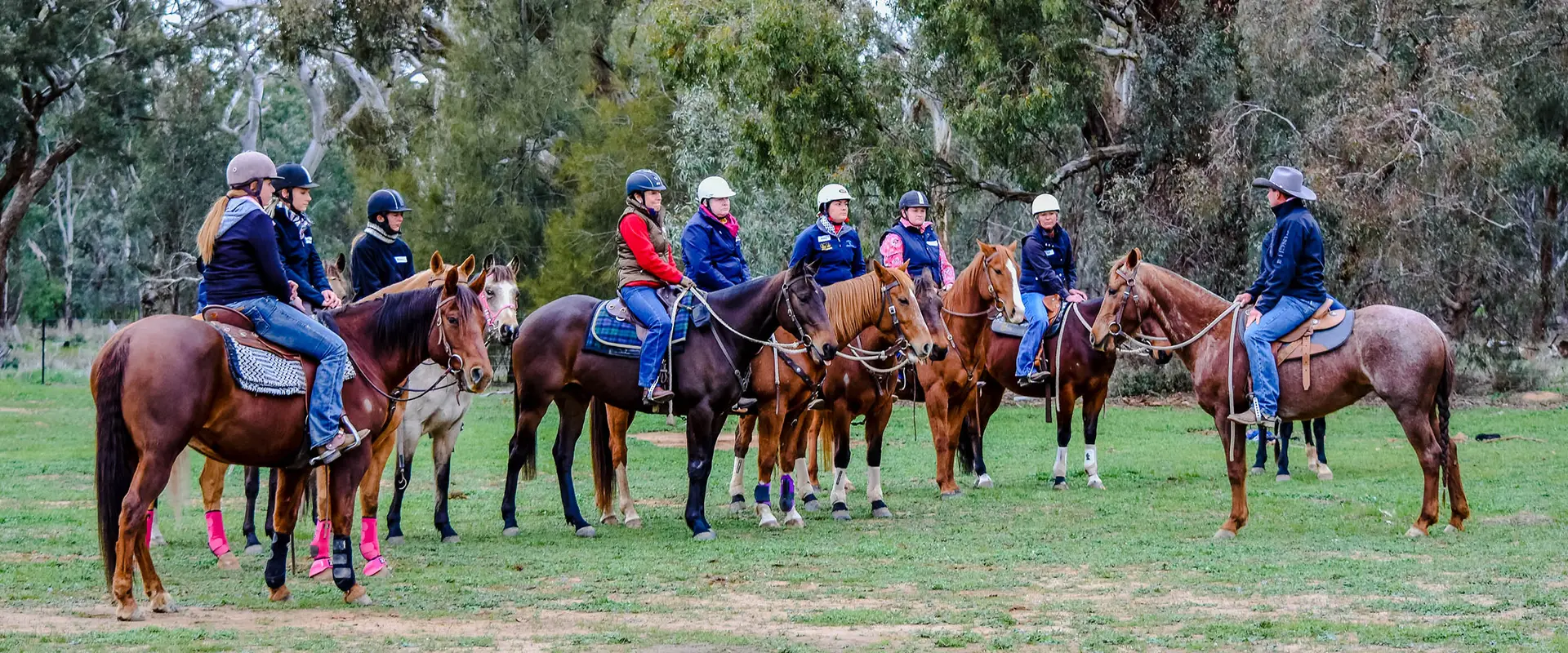 Steven Hart Performance Horses