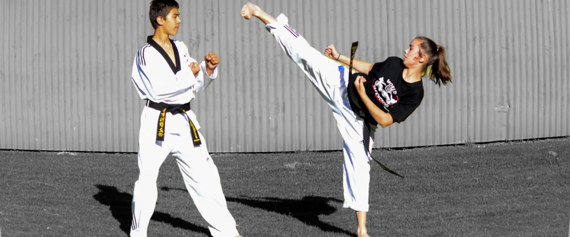 Taekwondo - World taekwondo Academy, Henley Beach