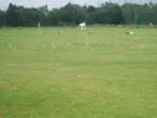 Woodham Mortimer Golf Range