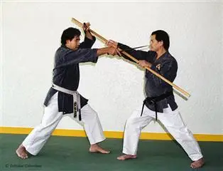 Karate Kobudo Oshukai Colombes