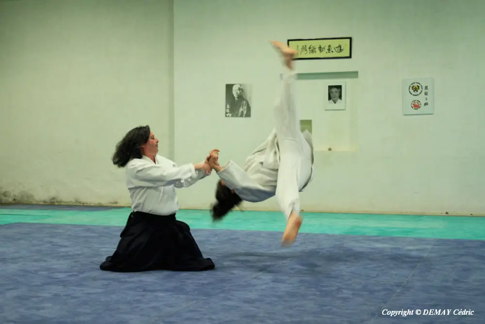 Dojo Du Centre