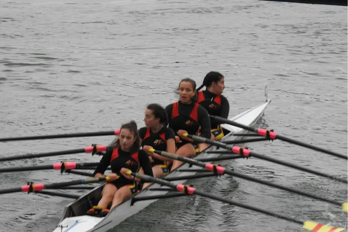 Aviron Majolan