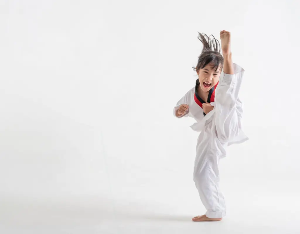 DaeHan TaeKwonDo