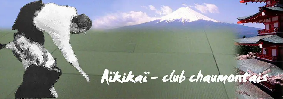 Aikido Club De Chaumont