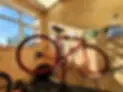 Dan the Bike Man