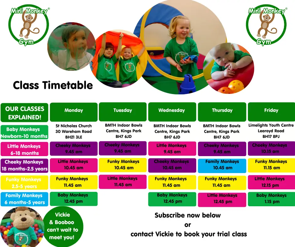 Mini Monkey Gym Poole