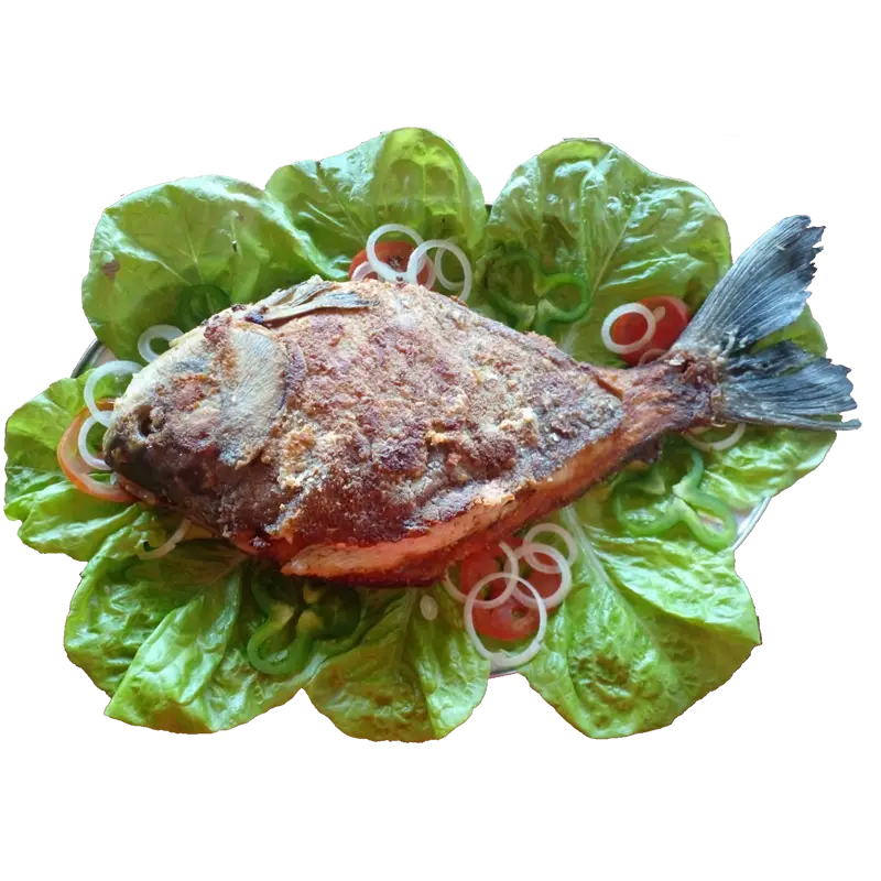 Recanto da Matrinxã