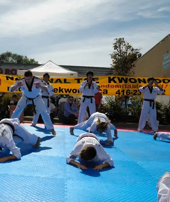 National Taekwondo