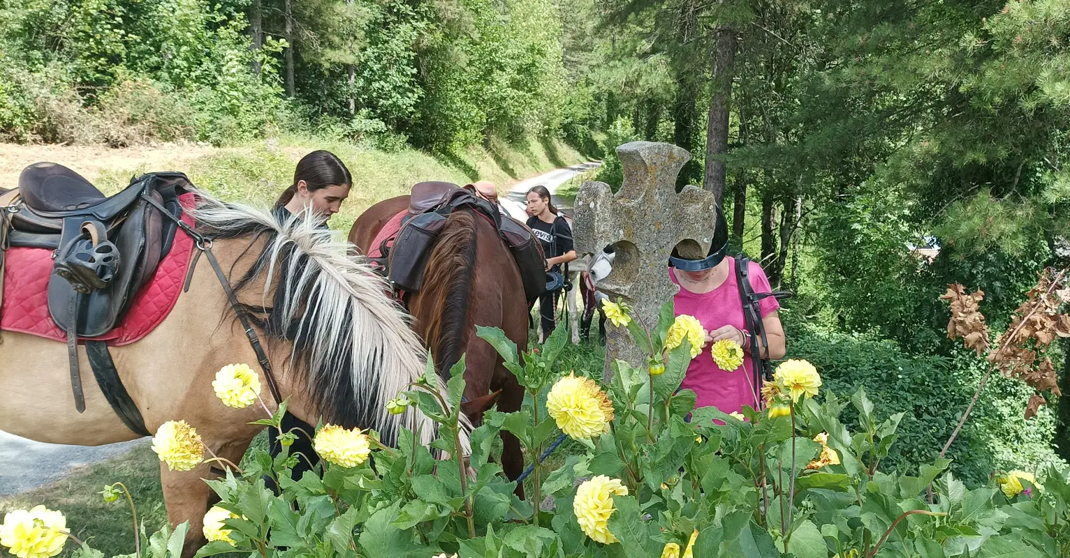 LES PONEYS DU ROUGIER