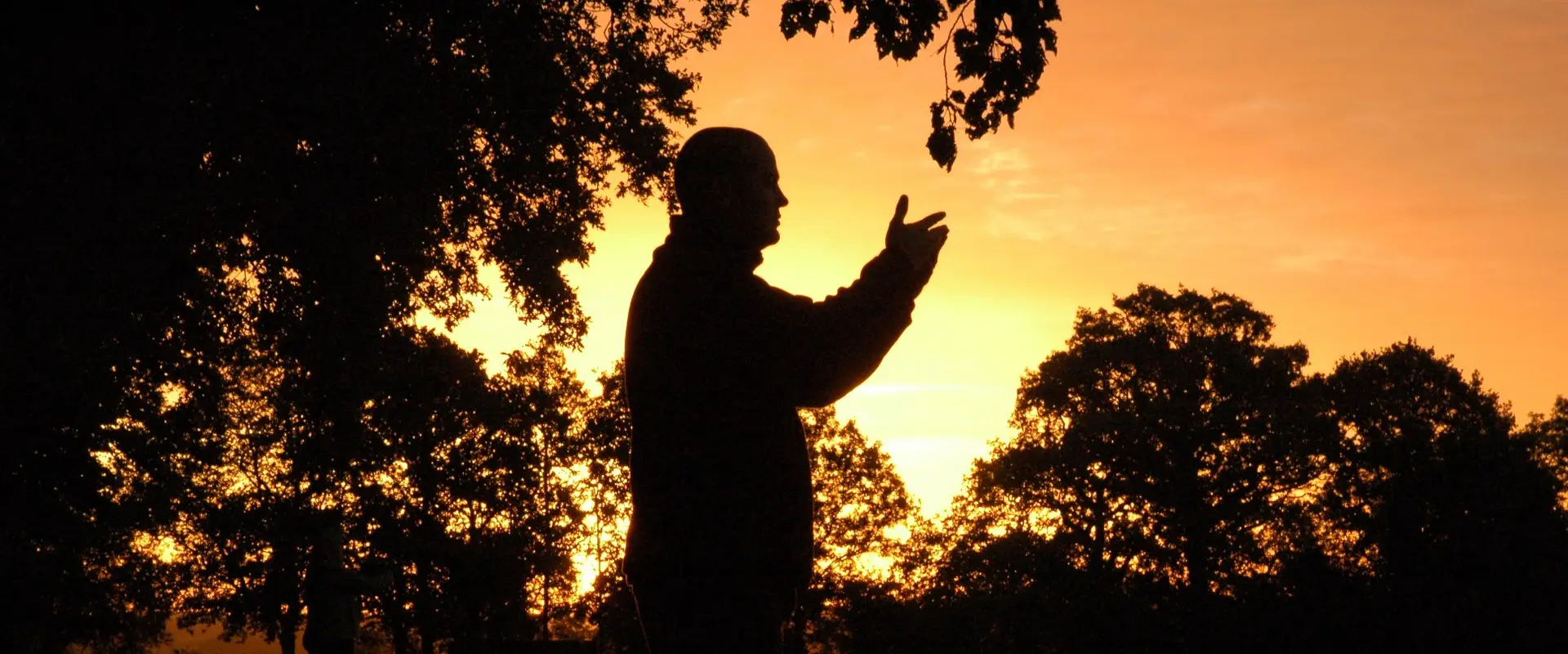 Master Ding Academy Cork - Traditional Tai Chi Chuan
