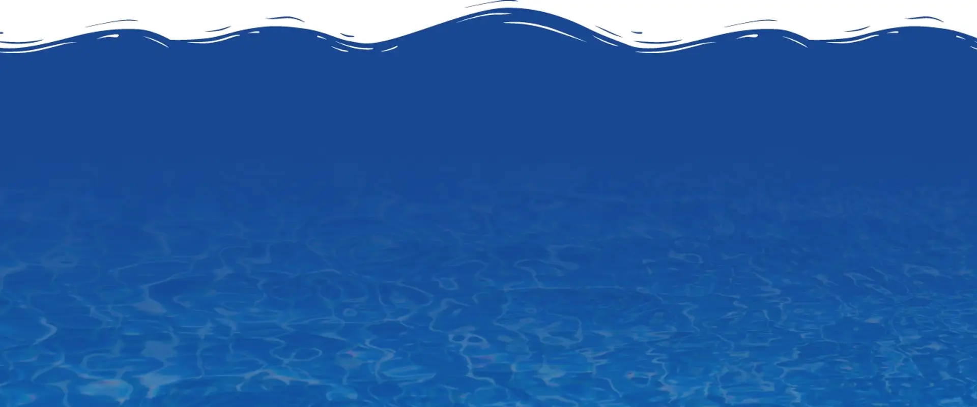 The Aqua Life Swim Academy