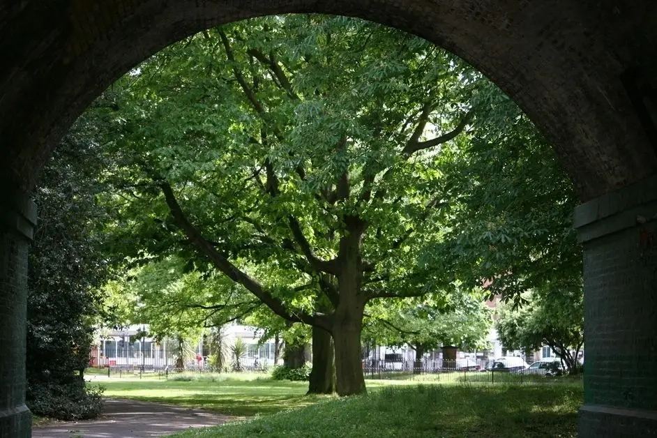 Ravenscourt Park Fitness